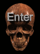 Entrar